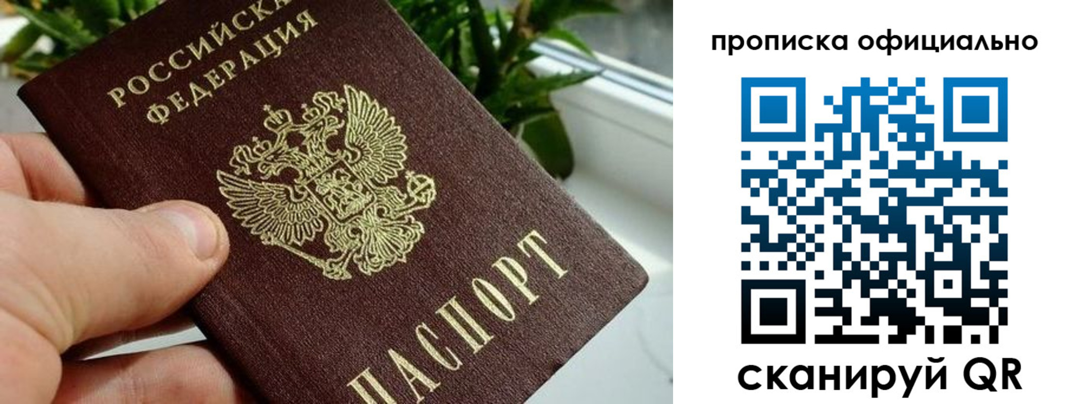 прописка поиск в Юрюзани